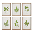 NAPA Home & Garden, FOREST GREENERY PRINTS, SET OF 6