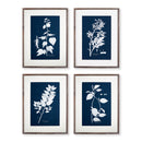 NAPA Home & Garden, CYANO BOTANICAL LEAF STUDY, SET OF 4