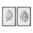 NAPA Home & Garden, CORDATE LEAF STUDY, SET OF 2
