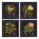 NAPA Home & Garden, PROTEA PETITE PRINTS, SET OF 4
