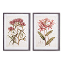 NAPA Home & Garden, PRETTY IN PINK VINTAGE PRINTS, SET OF 2