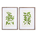NAPA Home & Garden, GUAVA PRINTS, SET OF 2