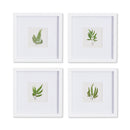 NAPA Home & Garden, FOREST GREENERY PETITE PRINTS, SET OF 4