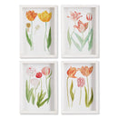 NAPA Home & Garden, TULIP PRINTS, SET OF 4