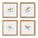 NAPA Home & Garden, PERCHING BIRD STUDY PETITE, SET OF 4