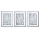 NAPA Home & Garden, FERN FROND PRINTS, SET OF 3