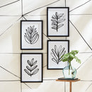 NAPA Home & Garden, SKETCHED LEAF PRINTS, SET OF 4,NNH545