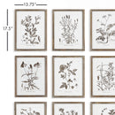 NAPA Home & Garden, RUSTIC FOLIAGE STUDY, SET OF 9,NNH550