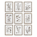NAPA Home & Garden, RUSTIC FOLIAGE STUDY, SET OF 9