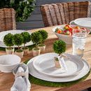 NAPA Home & Garden, BOXWOOD MINI SINGLE BALL TOPIARY IN POT,PG401
