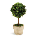 NAPA Home & Garden, BOXWOOD MINI SINGLE BALL TOPIARY IN POT
