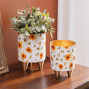 VivaStyle Sunflower Fields Planter with Gold Feet, Planter with Stand, Set of 2