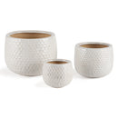 Ellis Pots by NAPA Home & Garden