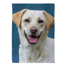 Pet Central Photo Dogs, Labrador Retriever Suede House Flag
