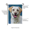Camera Day Dogs, Labrador Retriever Suede Garden Flag