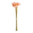 NAPA Home & Garden, POPPIES, BUNDLE OF 6