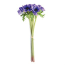 Napa Home Garden, ANEMONE 25" BUNDLE/6