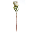Napa Home Garden, KING PROTEA 33" STEM WHITE