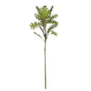 Napa Home Garden, BANKSIA PROTEA 27" STEM GREEN