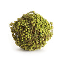 NAPA Home & Garden, GREEN BERRY ORB 4"