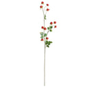 NAPA Home & Garden, WILD RASPBERRY STEM 31"