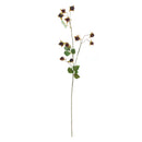 NAPA Home & Garden, WILD BLACKBERRY STEM 31"