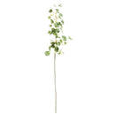 NAPA Home & Garden, CLOVER STEM 26"
