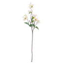 NAPA Home & Garden, DOGWOOD BRANCH 38"
