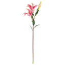 NAPA Home & Garden, LILY STEM 37"