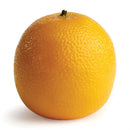 Napa Home Garden, NAVEL ORANGE 3"