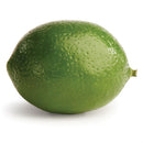 Napa Home Garden, LIME 2"