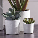 NAPA Home & Garden, STUDIO CACHEPOTS, SET OF 3,XN202