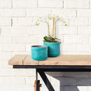 NAPA Home & Garden, SERGE POTS, SET OF 2