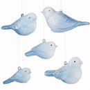 Napa Home Garden, GLASS FROSTY BIRD ORNAMENTS ,SET OF 5