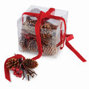 Napa Home Garden, PINE CONE & BERRY FILL IN BOX