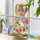Printed Acrylic Window Bird Feeder, 3 Asst,2bf7200