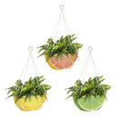 Citrus Fruit Hanging Fabric Planters, Set of 3,2fp035