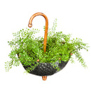 Metal Umbrella Hanging Planters Set of 2,6m595